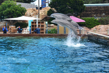 Enlarge photo 66