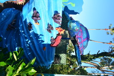 Enlarge photo 69