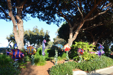 Enlarge photo 71