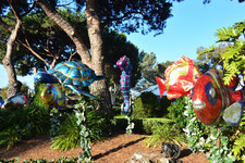 Enlarge photo 73