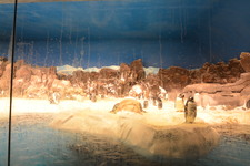 Enlarge photo 76
