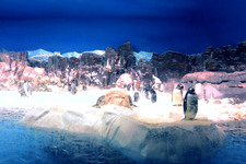 Enlarge photo 77