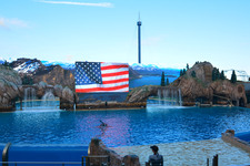 Enlarge photo 80