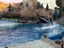 Enlarge photo 14