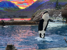 Enlarge photo 3