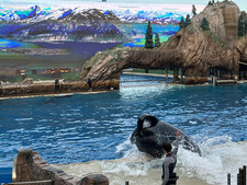 Enlarge photo 38
