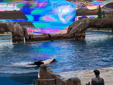 Enlarge photo 36
