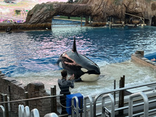 Enlarge photo 19