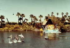 Enlarge photo 15