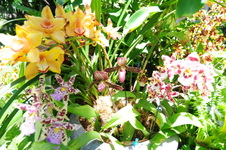 Enlarge photo 9