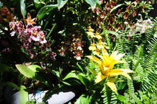 Enlarge photo 10