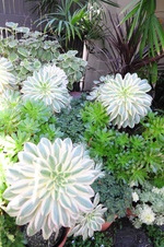 Enlarge photo 13