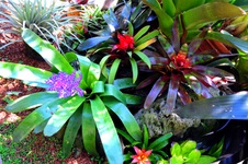 Enlarge photo 16