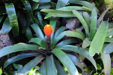 Enlarge photo 18