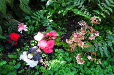 Enlarge photo 19