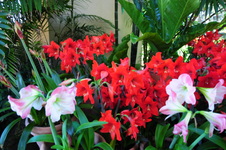 Enlarge photo 26