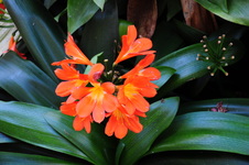 Enlarge photo 42