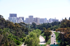 Enlarge photo 61