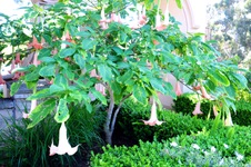 Enlarge photo 67
