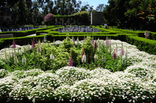 Enlarge photo 70