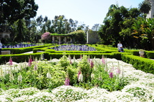 Enlarge photo 71