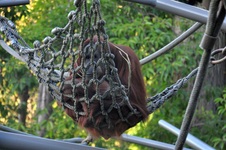 Enlarge photo 25