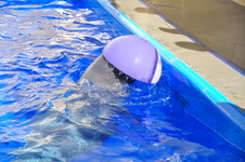 Enlarge photo 33