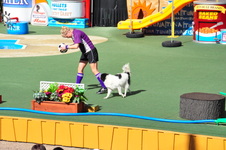 Enlarge photo 53