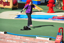 Enlarge photo 55