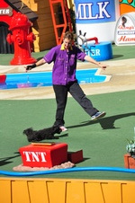 Enlarge photo 56
