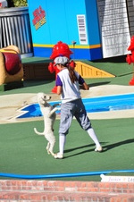Enlarge photo 58