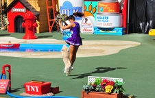 Enlarge photo 65
