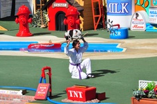 Enlarge photo 71