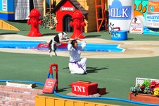 Enlarge photo 72