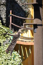 Enlarge photo 83
