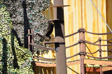 Enlarge photo 87