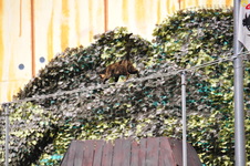 Enlarge photo 92