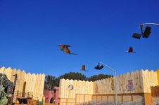 Enlarge photo 96