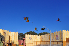 Enlarge photo 99