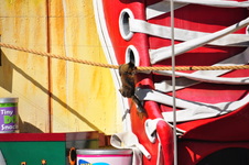 Enlarge photo 112