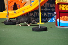 Enlarge photo 118