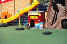 Enlarge photo 121