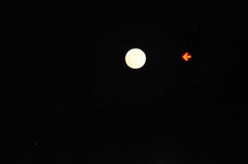 Enlarge photo 144