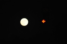 Enlarge photo 145