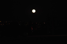 Enlarge photo 146