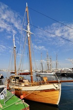 Enlarge photo 13