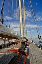 Enlarge photo 29