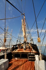 Enlarge photo 48