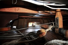 Enlarge photo 58