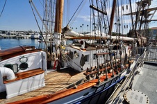 Enlarge photo 60